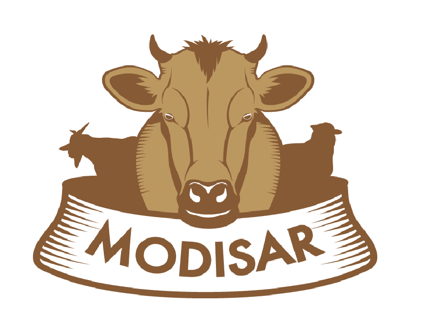 Modisar Support